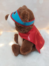 Load image into Gallery viewer, Cape and Mask