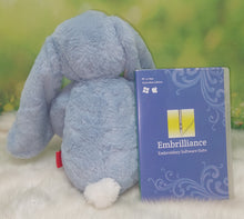 Load image into Gallery viewer, Gracie the Cubbies Long Earred Bunny