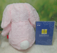 Load image into Gallery viewer, Pink Cubbie Bunny