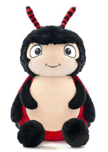 Load image into Gallery viewer, Biggleton the Cubbies Ladybird