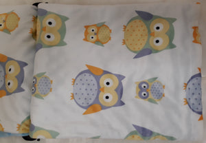 Blue Owls Minky Blanket