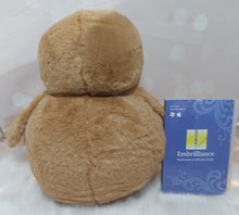 Load image into Gallery viewer, Karewa the Kijawii Kiwi
