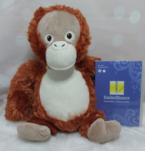 Load image into Gallery viewer, Oobiedoo the Orangutan Cubby