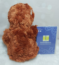 Load image into Gallery viewer, Oobiedoo the Orangutan Cubby