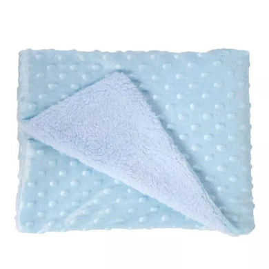 Blue Minky Blanket