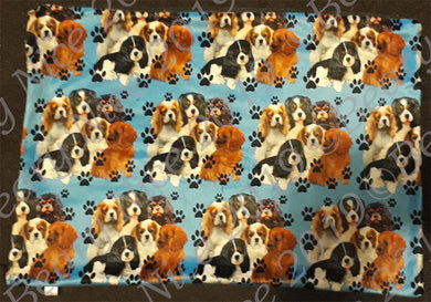 Blue Pawprint Cavalier Minky Blanket