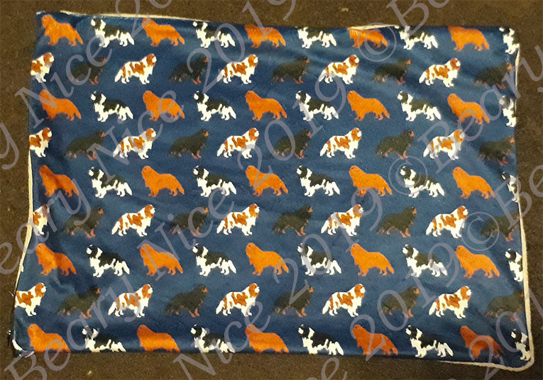 Navy Cavalier Minky Blanket