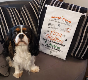 Pet Santa Sack