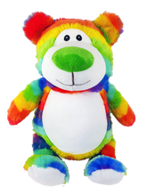 Load image into Gallery viewer, Rainbow Cubbyford Bear